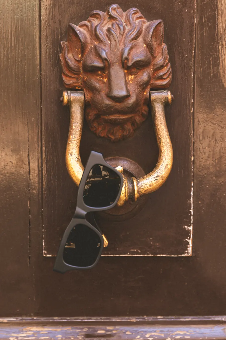 A frame hanging from a lion's-head knocker