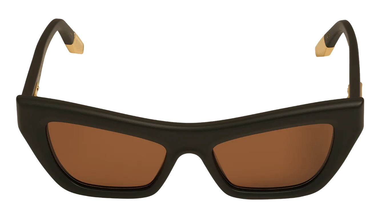 Eagle, acetate sunglasses from the Roma collection